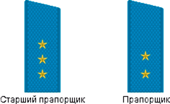 Прапорщики и мичманы