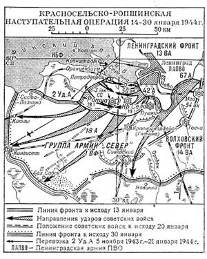 Общий ход Красносельско-Ропшинской операции