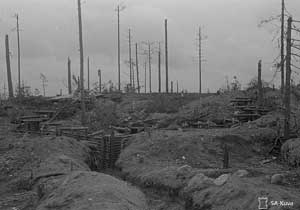 Финские оборонительные позиции в районе Ихантала в сентябре 1944 г.