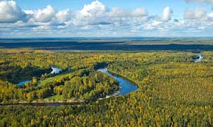 Река Васюган в Томской области. Вид с вертолёта.